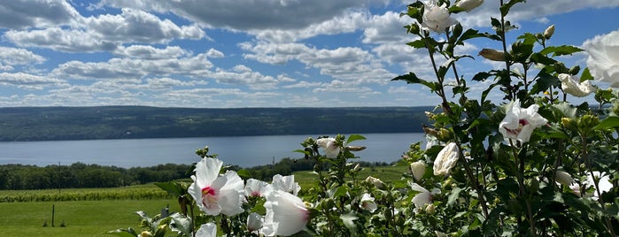 Atwater Estate Vineyards is one of Finger Lakes Wine Trail & Some.