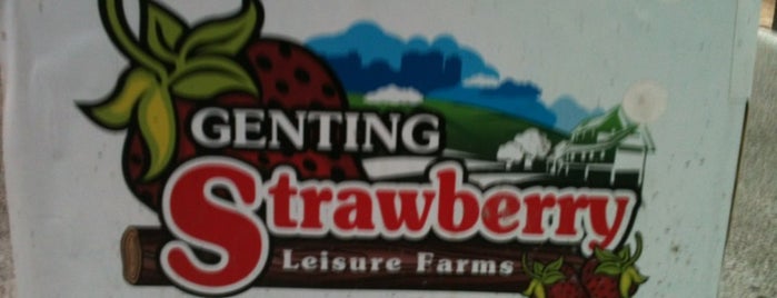 Genting Strawberry Leisure Farm is one of @Bentong, Pahang.