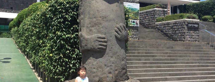 제주민속자연사박물관 is one of Jeju (제주도).