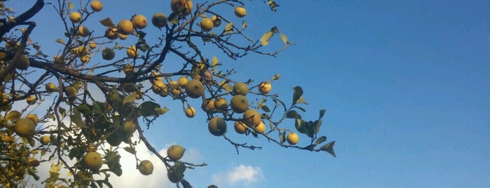 limonlu bahce is one of Tempat yang Disukai Umut.