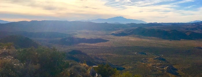 Joshua Tree is one of Gespeicherte Orte von Ahmad🌵.