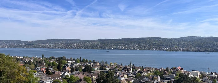 Belvoir is one of Zurich.
