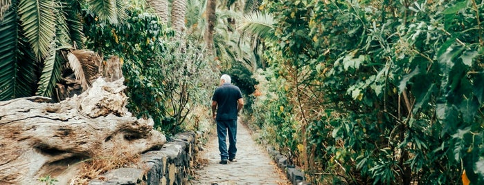 Paisaje Protegido Rambla De Castro is one of Evgeny : понравившиеся места.