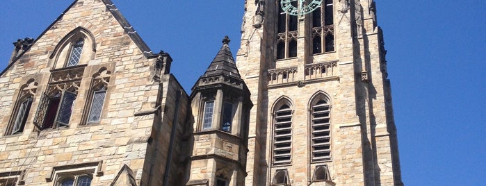 Università di Yale is one of New Haven.