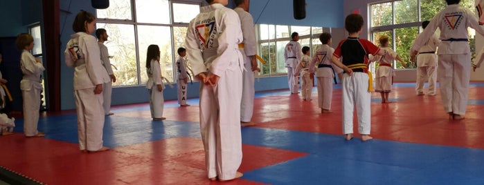 United Tae Kwon Do Academy is one of Places for kids.