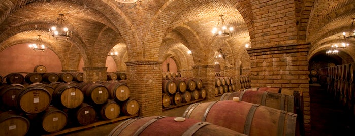 Castello di Amorosa is one of Winery Places.