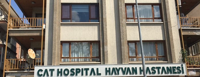 Cat Hospital Kedi Hastanesi is one of Veteriner muayenehaneleri.