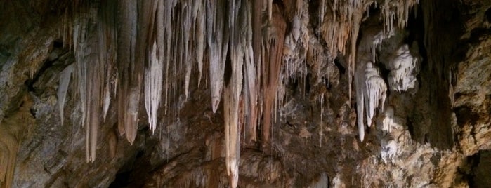 Grotte di Borgio Verezzi is one of Лигурия.