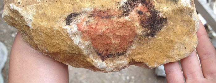 Les grottes du roc de Cazelle is one of Culture.