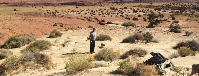 Salt Wash View Area is one of Orte, die Jessie gefallen.