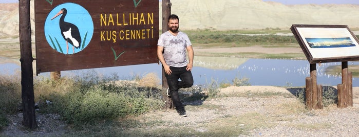 Nallıhan Kuş Cenneti is one of Abant.