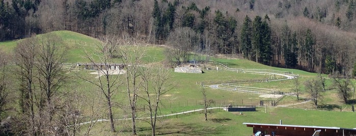 Wildnispark Langenberg is one of Xurich.