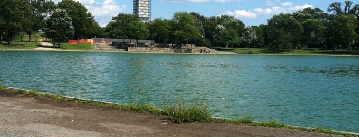 The Duck Pond is one of Tempat yang Disukai John.