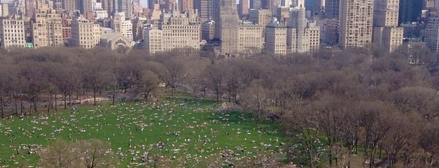 Great Lawn is one of The Museums & Parks of NYC.