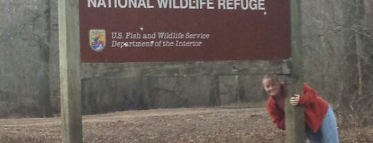 Chickasaw National Wildlife Refuge is one of National Wildlife Refuge System (East).