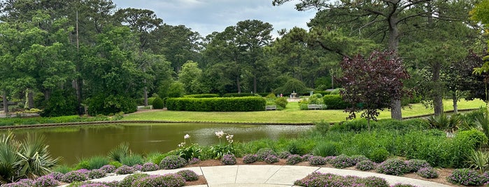 Norfolk Botanical Garden is one of Virginia.
