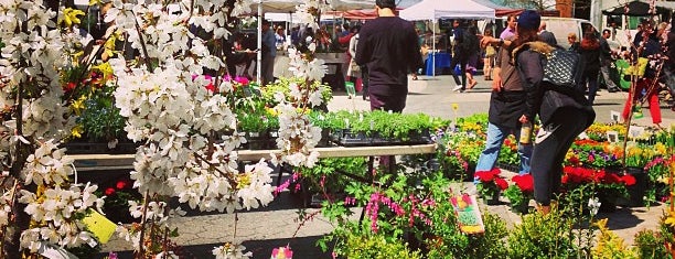 Union Square Greenmarket is one of Attractions.