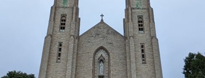 Cathedral of the Immaculate Conception is one of Downtown.
