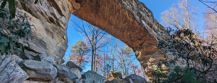 Natural Bridge State Resort Park is one of MD-VA-KY-OH-PA.