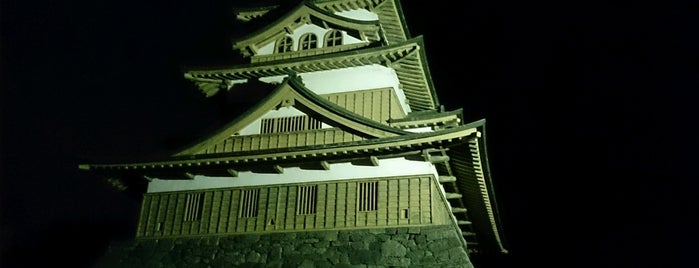 Takashima Castle is one of Japan.