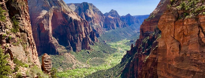 Angels Landing is one of Davidさんのお気に入りスポット.