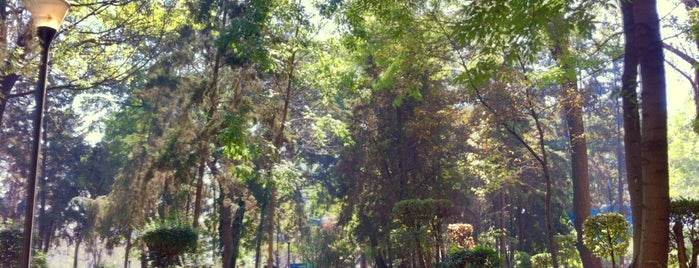 Parque Alfonso Esparza Oteo is one of Orte, die Fernanda gefallen.