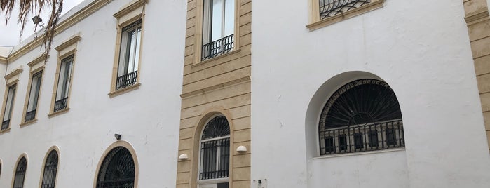 Palais Kheïreddine (Musée de la Ville de Tunis) is one of Grand Tunis.