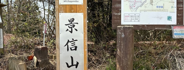 景信山 is one of 東日本の山-秩父山地.