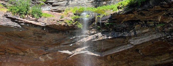 Kaaterskill Falls is one of Upstate.