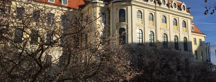 Stadtmuseum Dresden is one of Carolin : понравившиеся места.