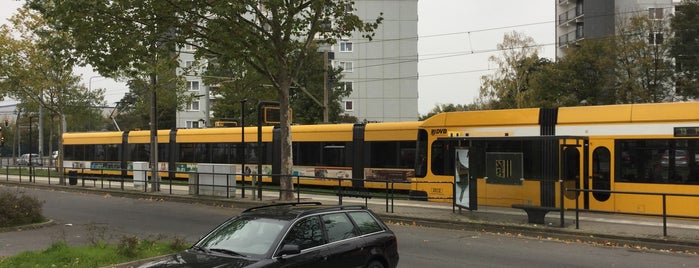 H Albert-Wolf-Platz is one of Dresden tram line 13.