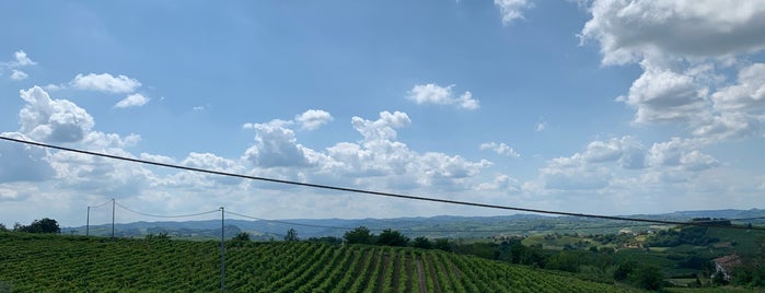 Erede di Chiappone Armando winery is one of VINO 2019.