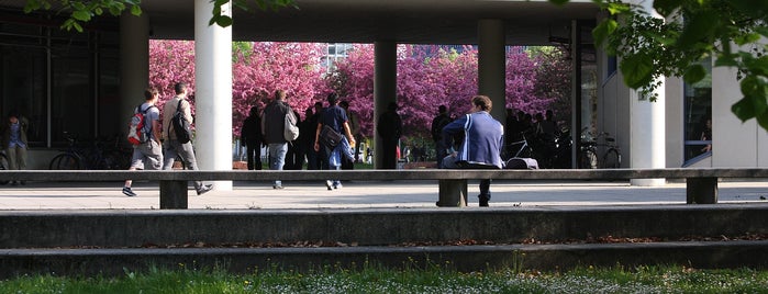 Karlsruhe Institute of Technology (KIT)