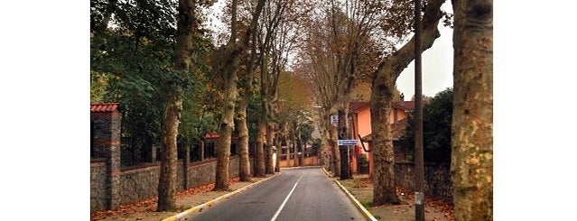 Beykoz Korusu Yolu is one of Gül 님이 저장한 장소.