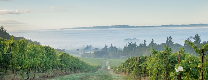 Winter's Hill Estate Vineyard & Winery is one of Oregon Coast.