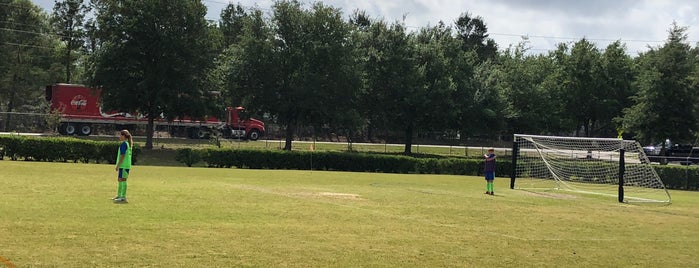 Lady Lake Sports Complex is one of Posti che sono piaciuti a Lizzie.