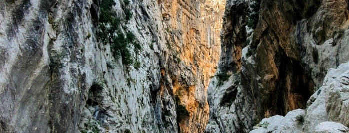 Canyon di Gorropu is one of Jas' favorite natural sites.