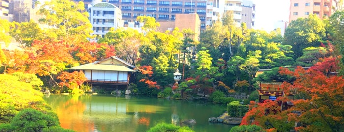 相楽園 is one of 公園/庭園/植物園.