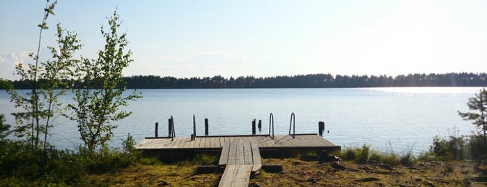 Tudu Metsaonn is one of Camping and Hiking in Estonia.