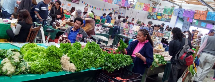 Tianguis Orgánico Chapingo is one of food.