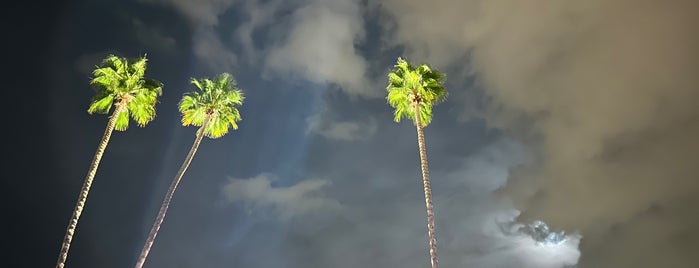 Palm Springs Art Museum - Architecture And Design Center is one of Max's Saved Places.