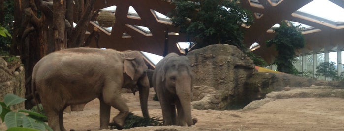 Kaeng Krachan Elefantenpark is one of Sophie'nin Beğendiği Mekanlar.