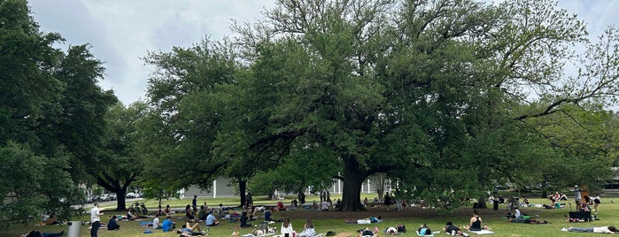 Menil Park is one of Places I want to try out (non-eateries).