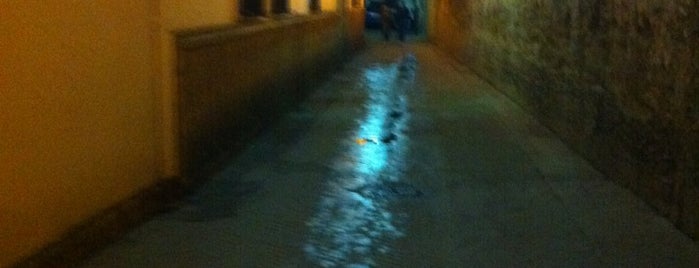 Callejón del agua is one of Andalucía: Sevilla.