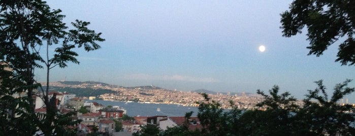 Mimolett is one of Istanbul.