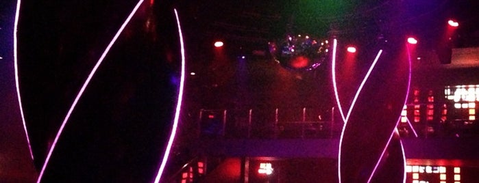 ORO Nightclub is one of Best Party in Bavaro.