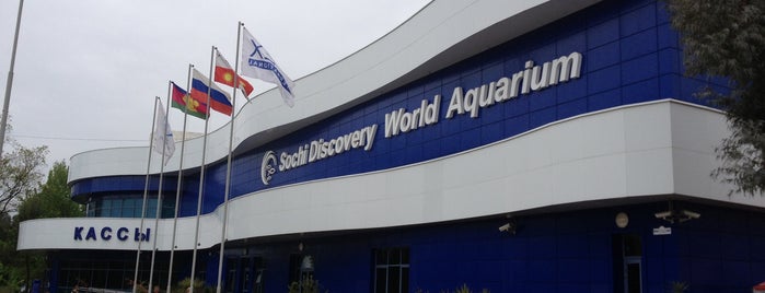 Sochi Discovery World Aquarium is one of Кавказ.