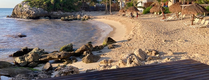 Maria Del Mar Hotel & Beach Club is one of Tavo'nun Beğendiği Mekanlar.