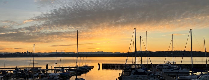 Leschi-Lake Dell Natural Area is one of Views.