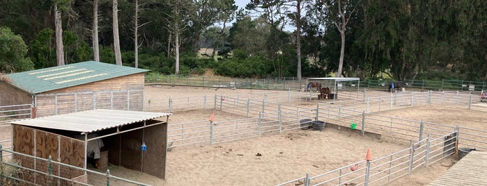 Golden Gate Park Stables (Ghost Town) is one of Golden Gate Park.